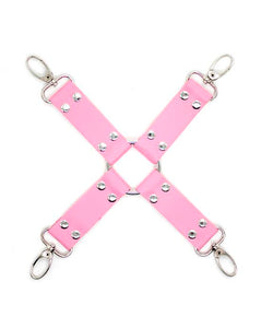 Sturdy 4 Way Cross Restraint